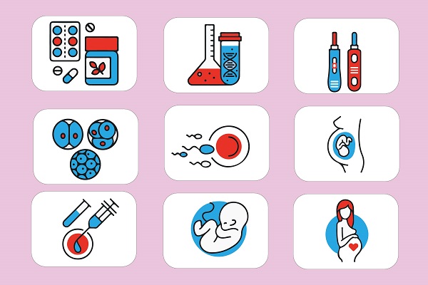 試管嬰兒,試管過程,試管嬰兒步驟