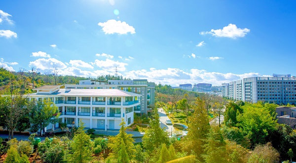 試管嬰兒,試管妊娠率,影響試管成功因素